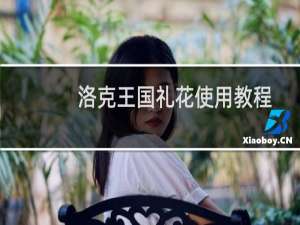 洛克王国礼花使用教程