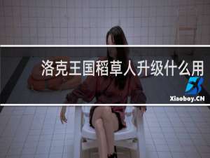 洛克王国稻草人升级什么用