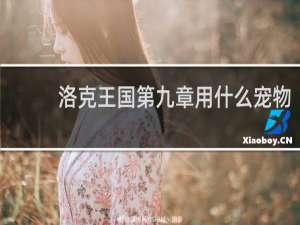 洛克王国第九章用什么宠物