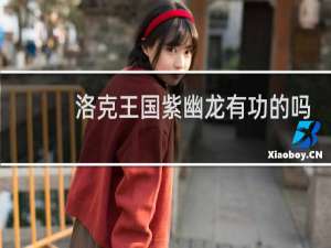 洛克王国紫幽龙有功的吗