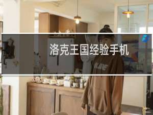 洛克王国经验手机