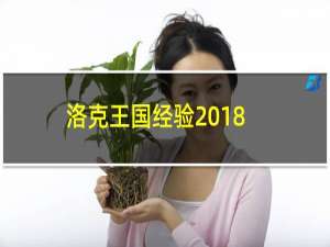 洛克王国经验2018