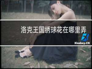 洛克王国绣球花在哪里弄