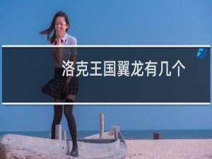 洛克王国翼龙有几个