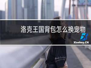 洛克王国背包怎么换宠物