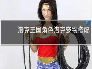 洛克王国角色洛克宠物搭配