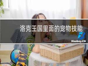 洛克王国里面的宠物技能