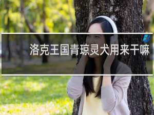 洛克王国青琼灵犬用来干嘛