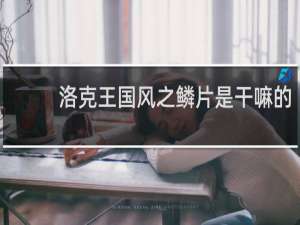 洛克王国风之鳞片是干嘛的