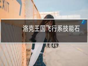 洛克王国飞行系技能石
