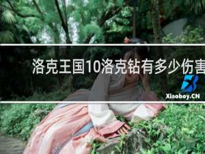 洛克王国10洛克钻有多少伤害