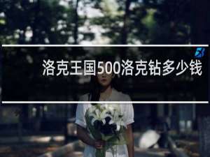 洛克王国500洛克钻多少钱