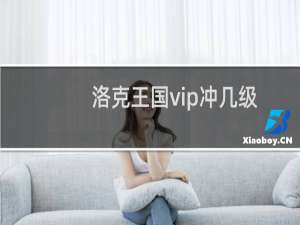 洛克王国vip冲几级