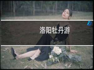 洛阳牡丹游