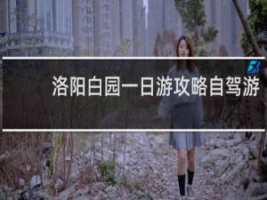 洛阳白园一日游攻略自驾游