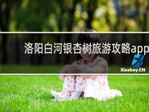 洛阳白河银杏树旅游攻略app