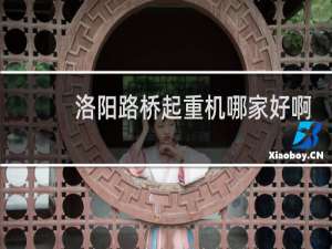 洛阳路桥起重机哪家好啊