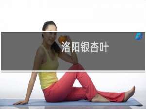 洛阳银杏叶