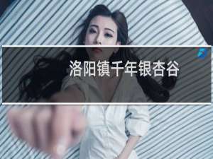 洛阳镇千年银杏谷