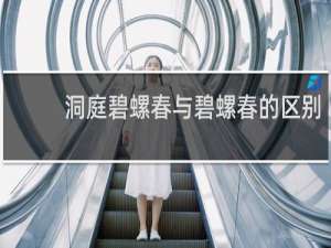 洞庭碧螺春与碧螺春的区别