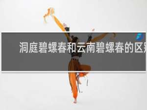 洞庭碧螺春和云南碧螺春的区别