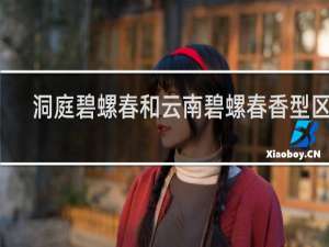 洞庭碧螺春和云南碧螺春香型区别