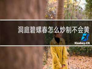 洞庭碧螺春怎么炒制不会黄