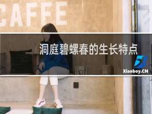 洞庭碧螺春的生长特点