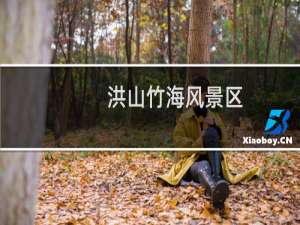 洪山竹海风景区