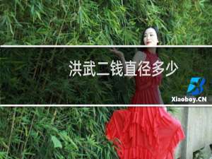 洪武二钱直径多少