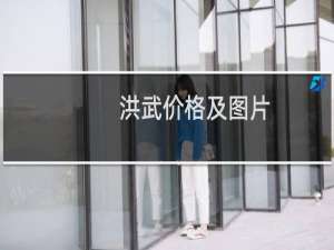 洪武价格及图片