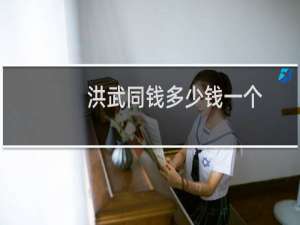 洪武同钱多少钱一个