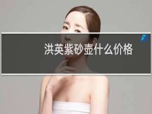 洪英紫砂壶什么价格