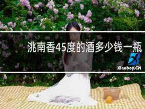 洮南香45度的酒多少钱一瓶