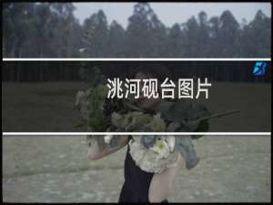 洮河砚台图片