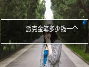 派克金笔多少钱一个