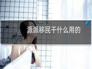 派派移民干什么用的