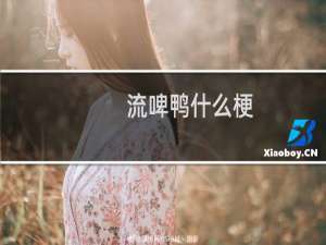 流啤鸭什么梗
