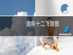 流年十二飞宫图