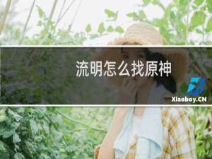 流明怎么找原神