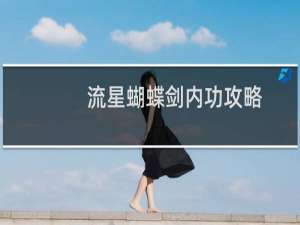 流星蝴蝶剑内功攻略