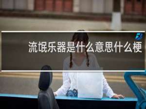 流氓乐器是什么意思什么梗