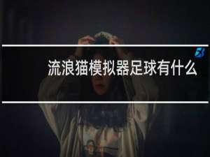 流浪猫模拟器足球有什么用