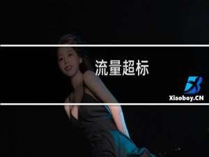 流量超标，请帮我拦截异常访问