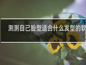 测测自己脸型适合什么发型的软件