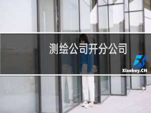 测绘公司开分公司