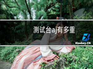 测试台aj有多重