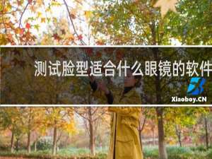 测试脸型适合什么眼镜的软件