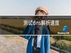 测试dns解析速度