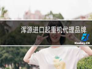 浑源进口起重机代理品牌